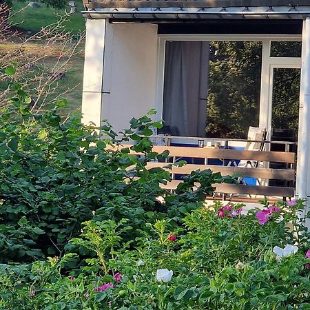 Gemuetliche Moderne Ferienwohnung Inkl. Wlan In St Andreasberg/Braunlange Sankt Andreasberg Kültér fotó